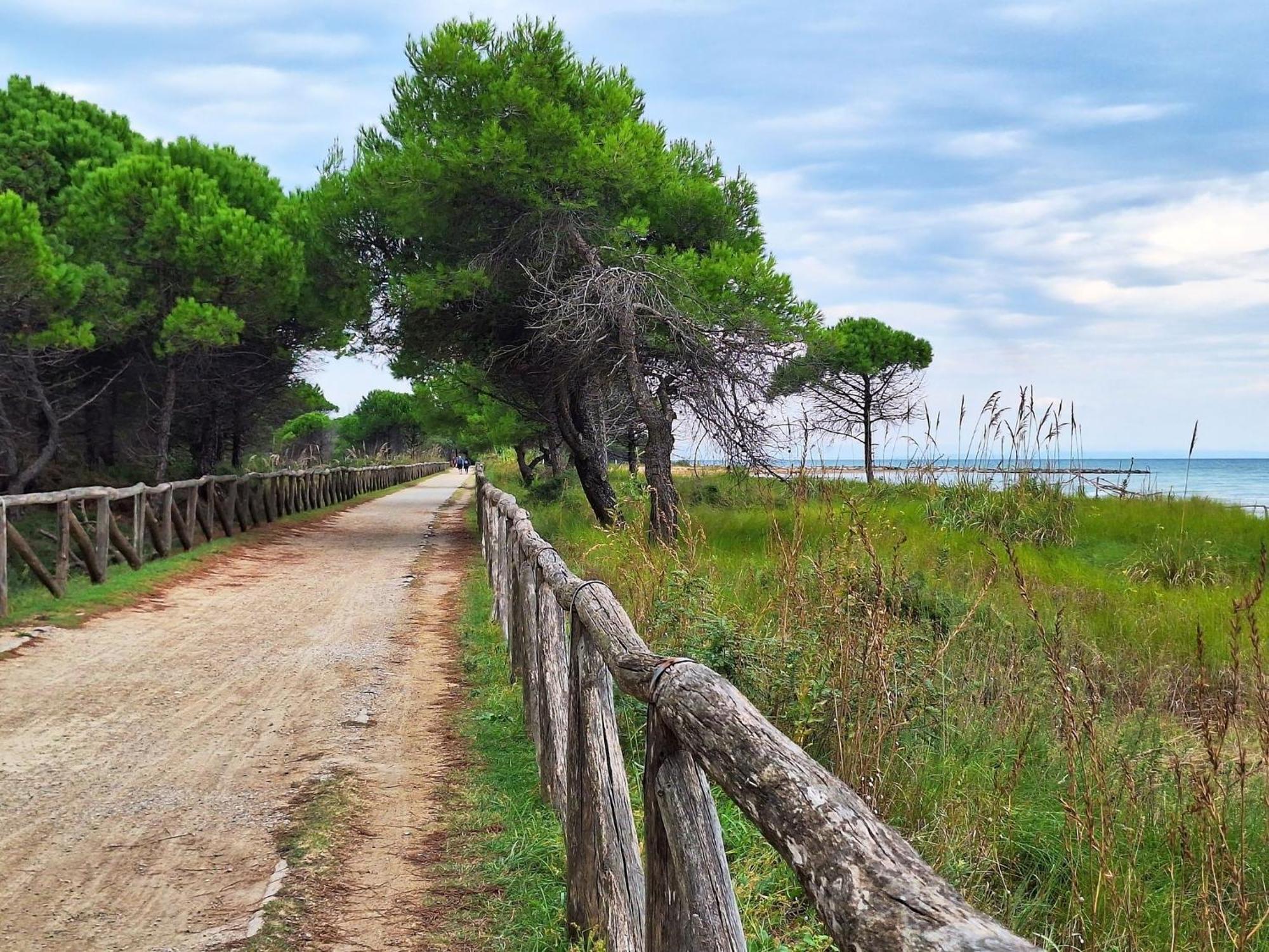 Adorable Flat 250 M From The Apartment Bibione